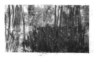 Night Forest monotype